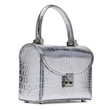 Load image into Gallery viewer, Baby Lunchbox in Metallic Silver
